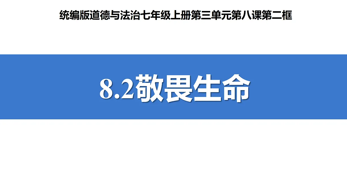 17433796第3页