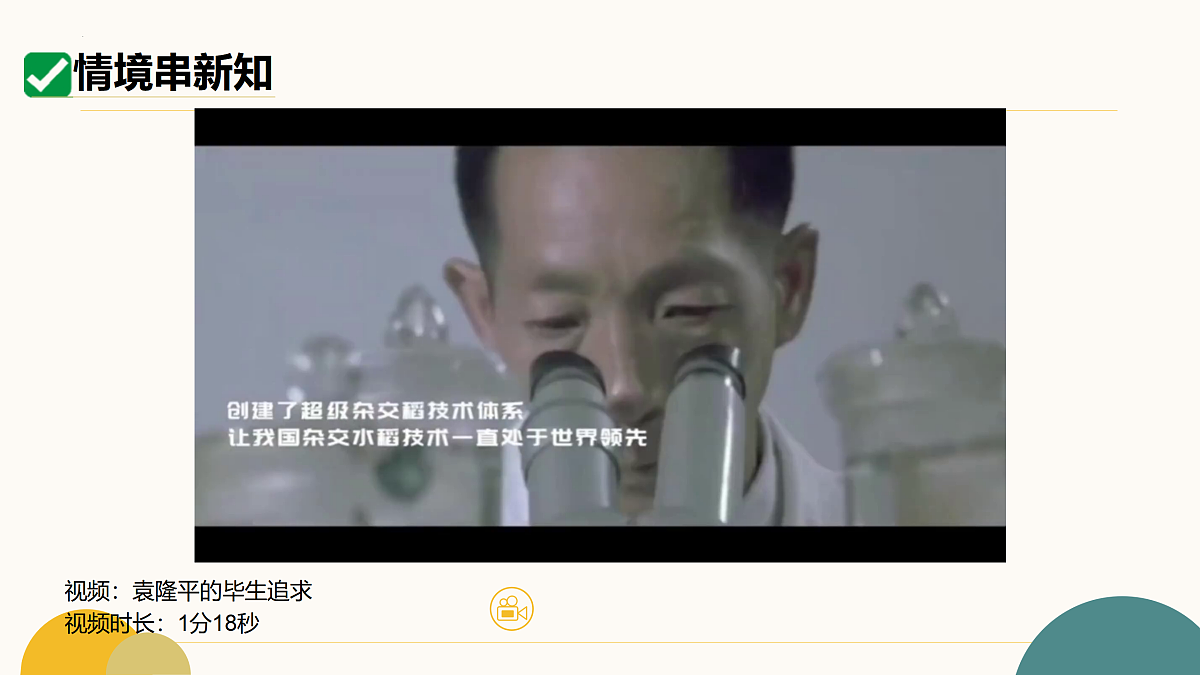 17433803第6页