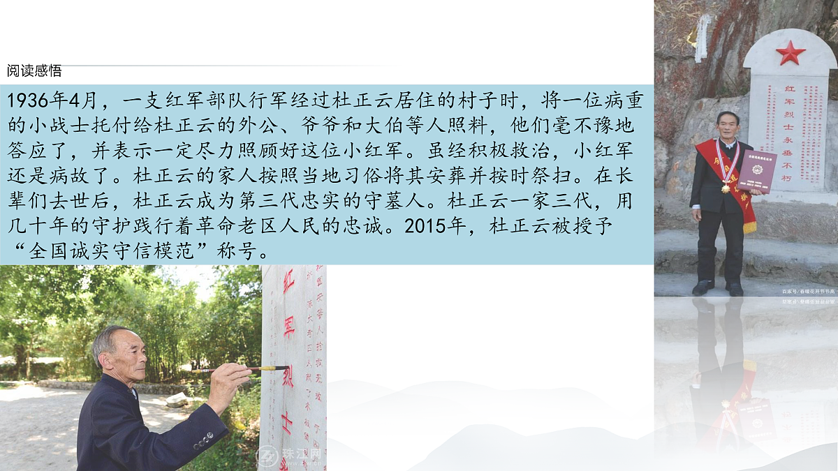 17433878第7页