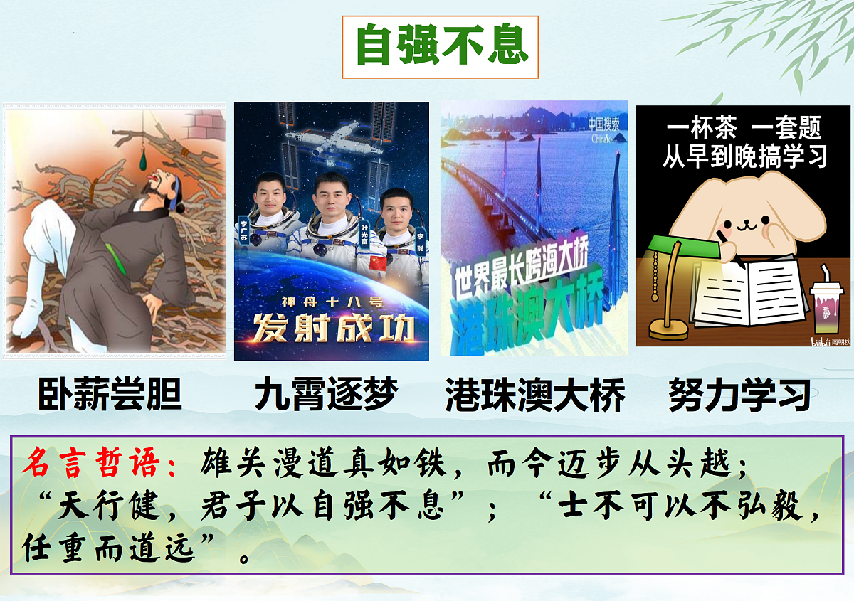 17433919第8页