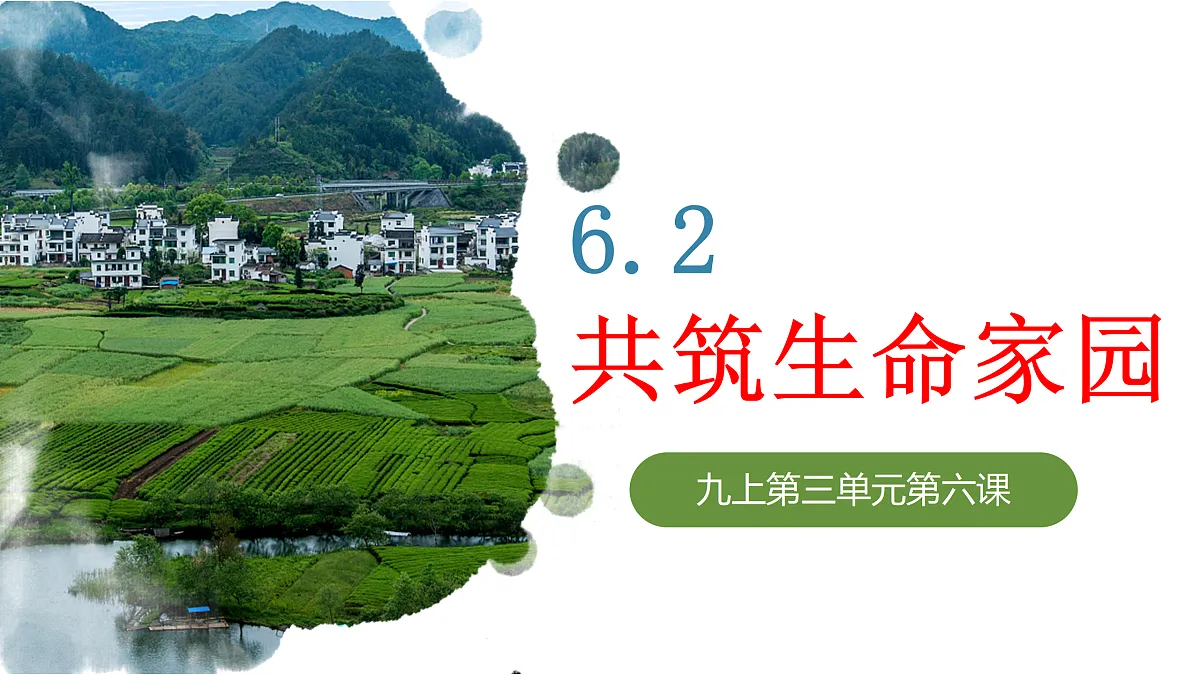 17433923第2页