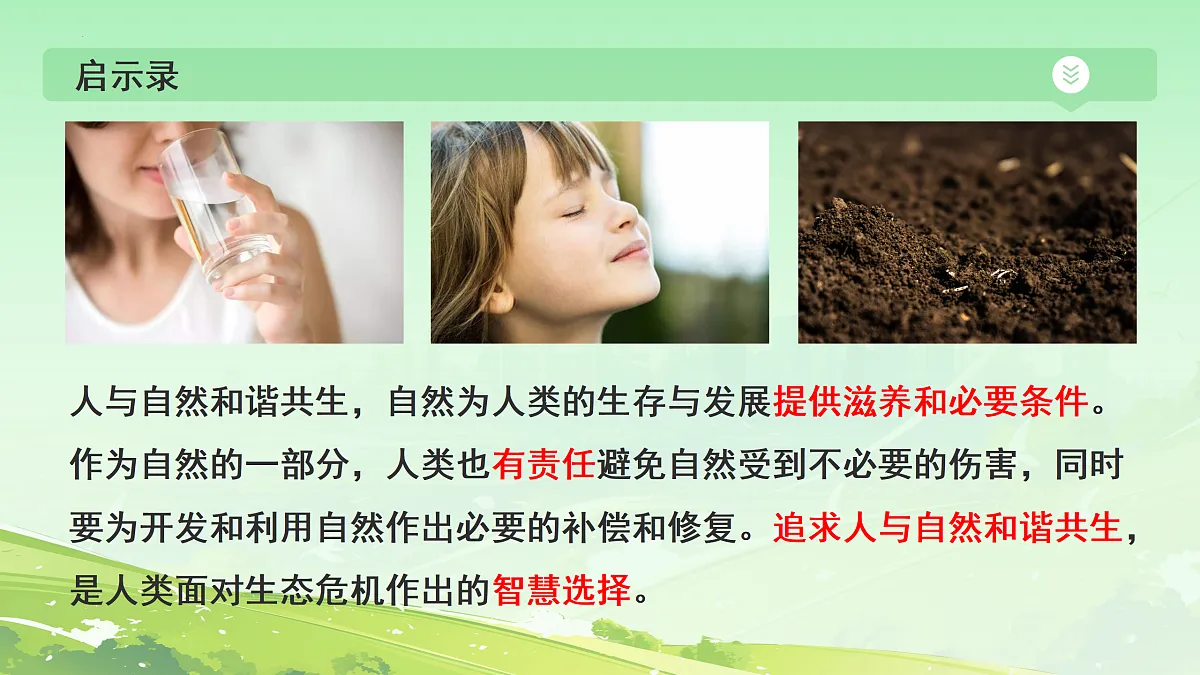 17433924第7页