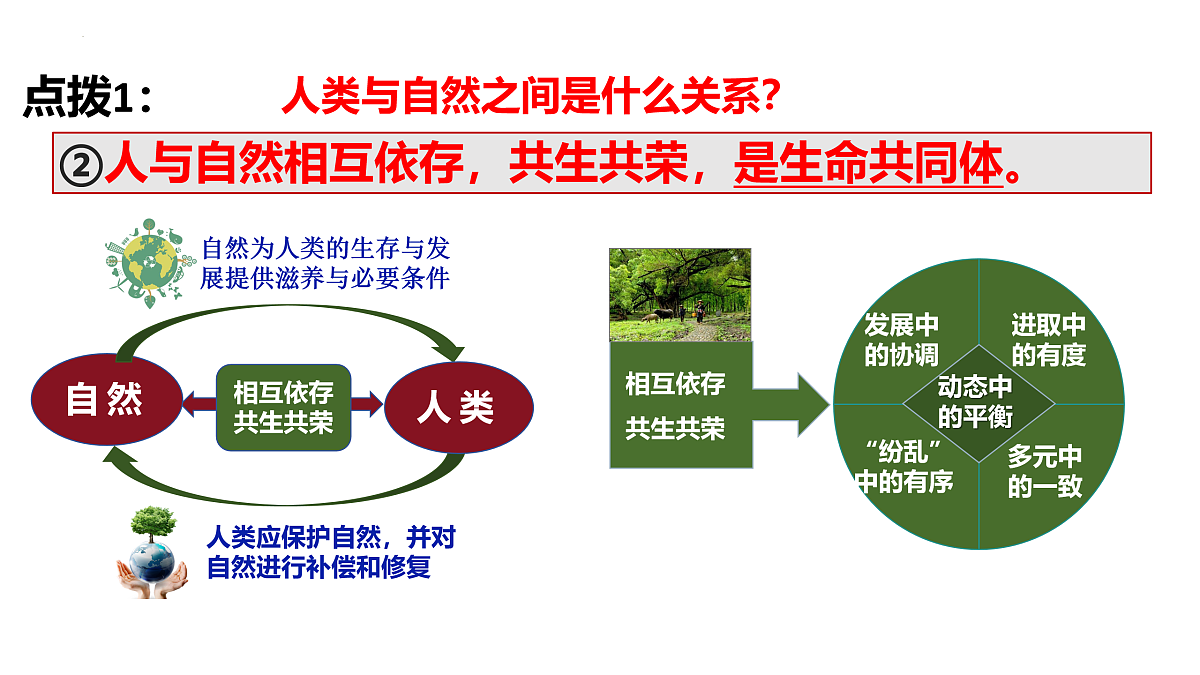 17433925第8页