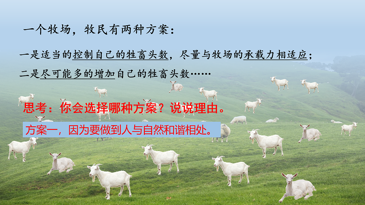 17433927第8页