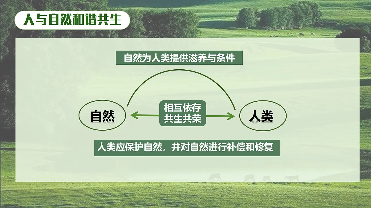 17433928第8页