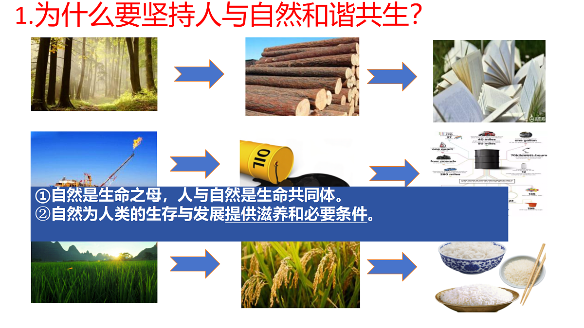 17433929第8页