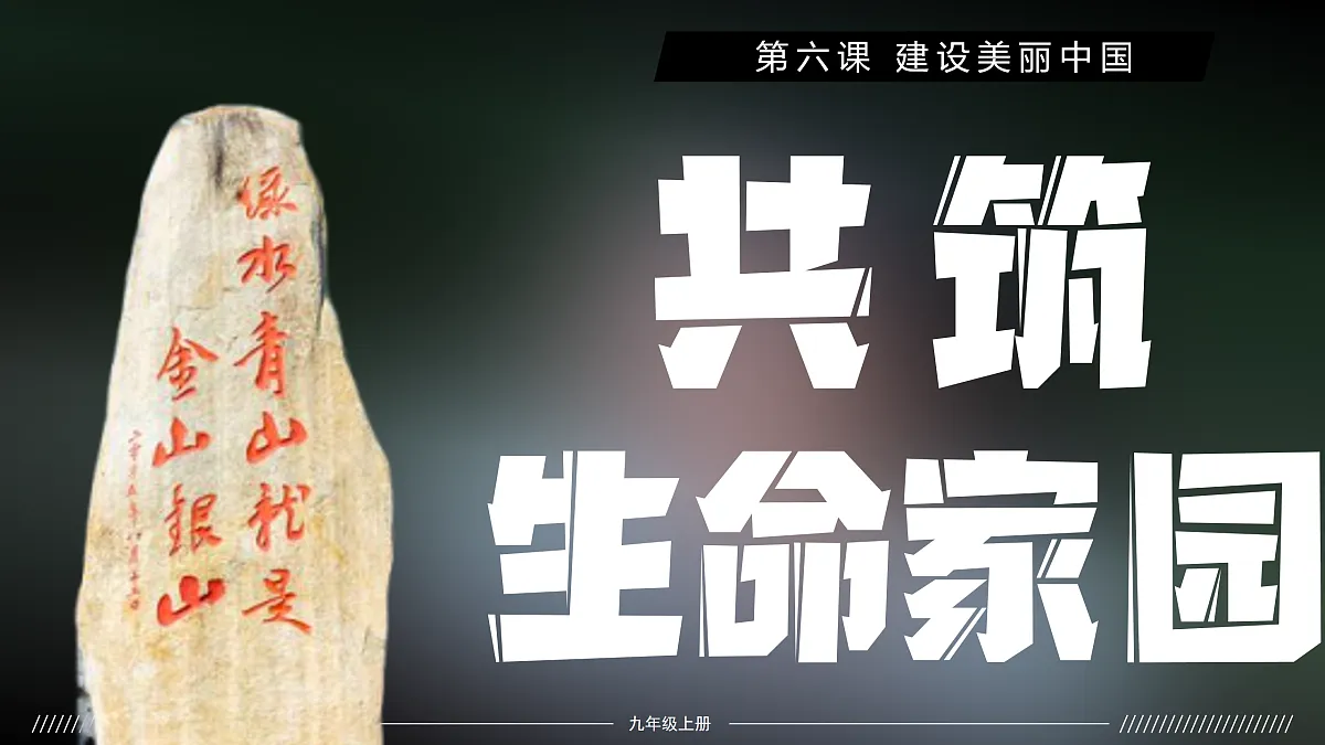 17433930第2页