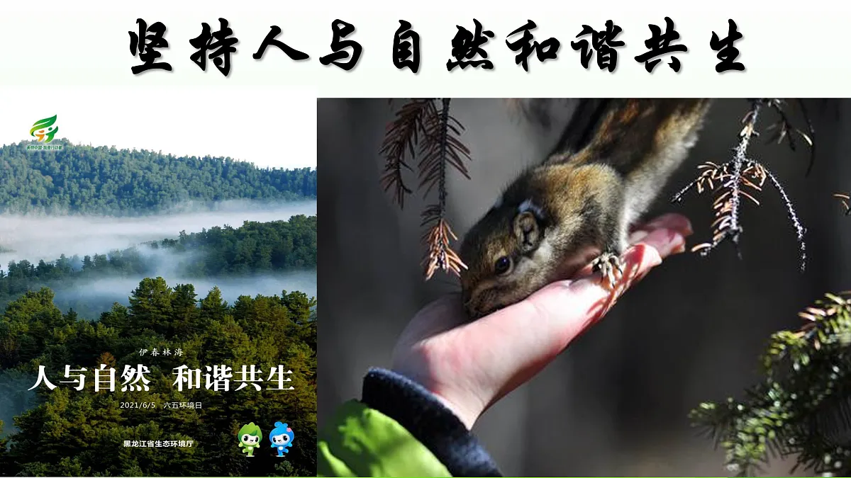 17433930第6页