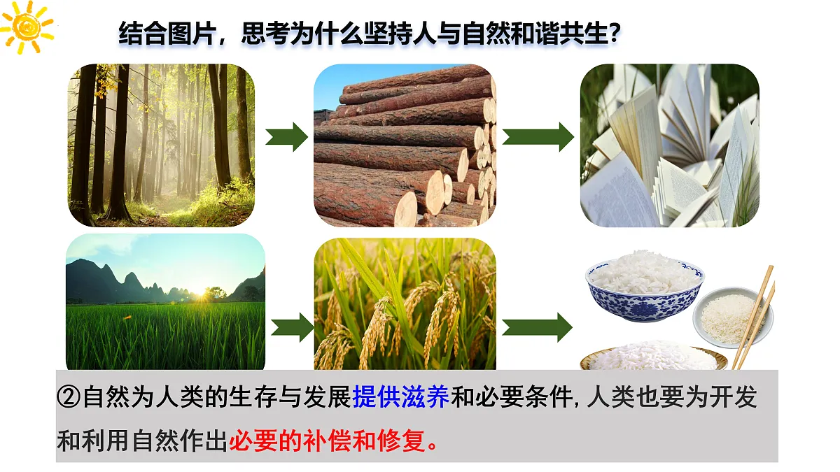 17433930第8页