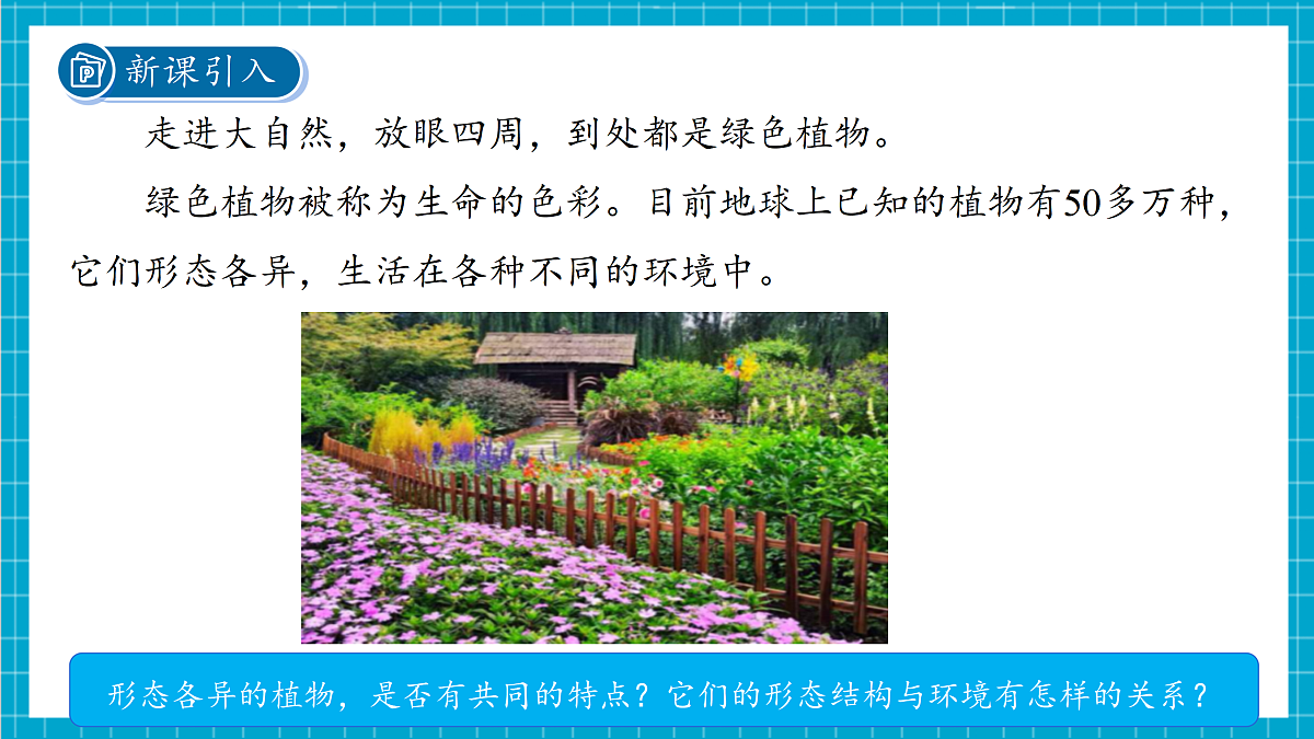 2.2  形形色色的植物 第1课时 课件第5页