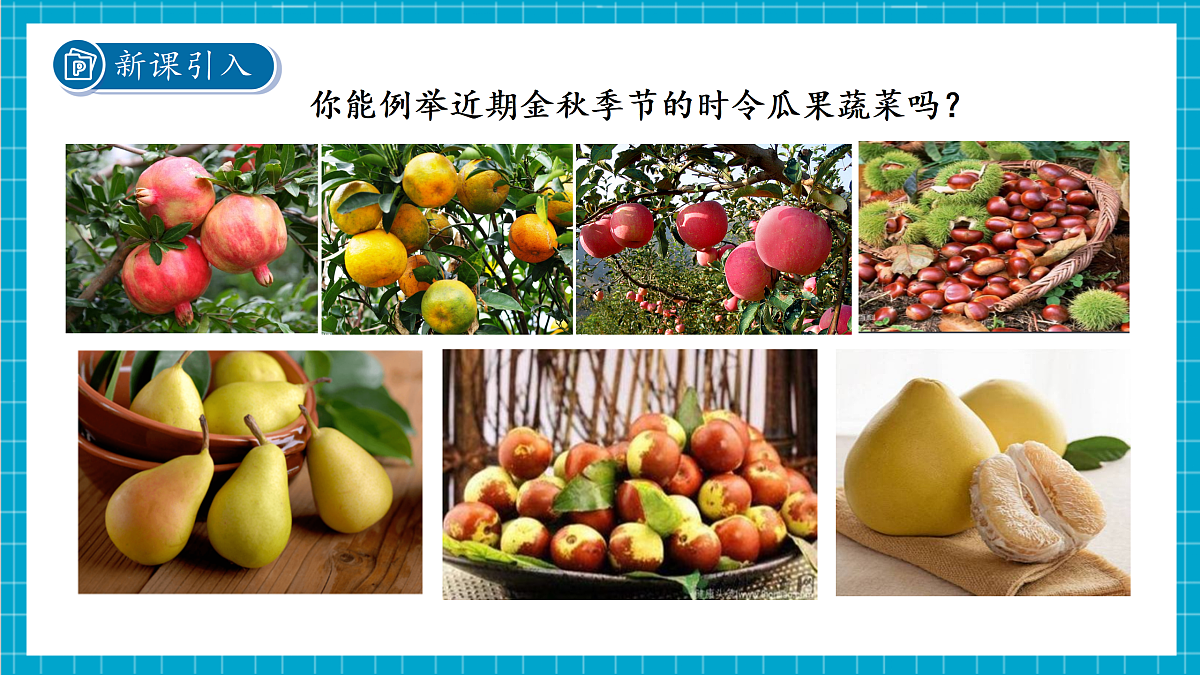 2.2 形形色色的植物 第2课时 课件第3页