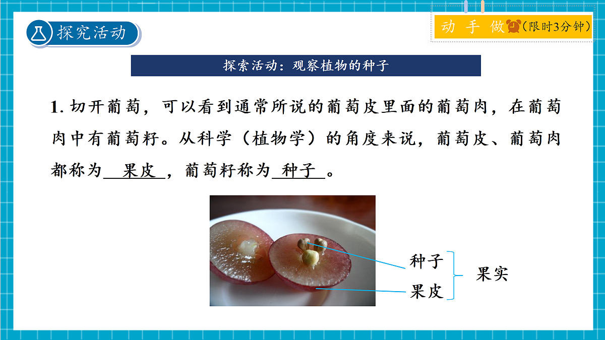 2.2 形形色色的植物 第2课时 课件第5页