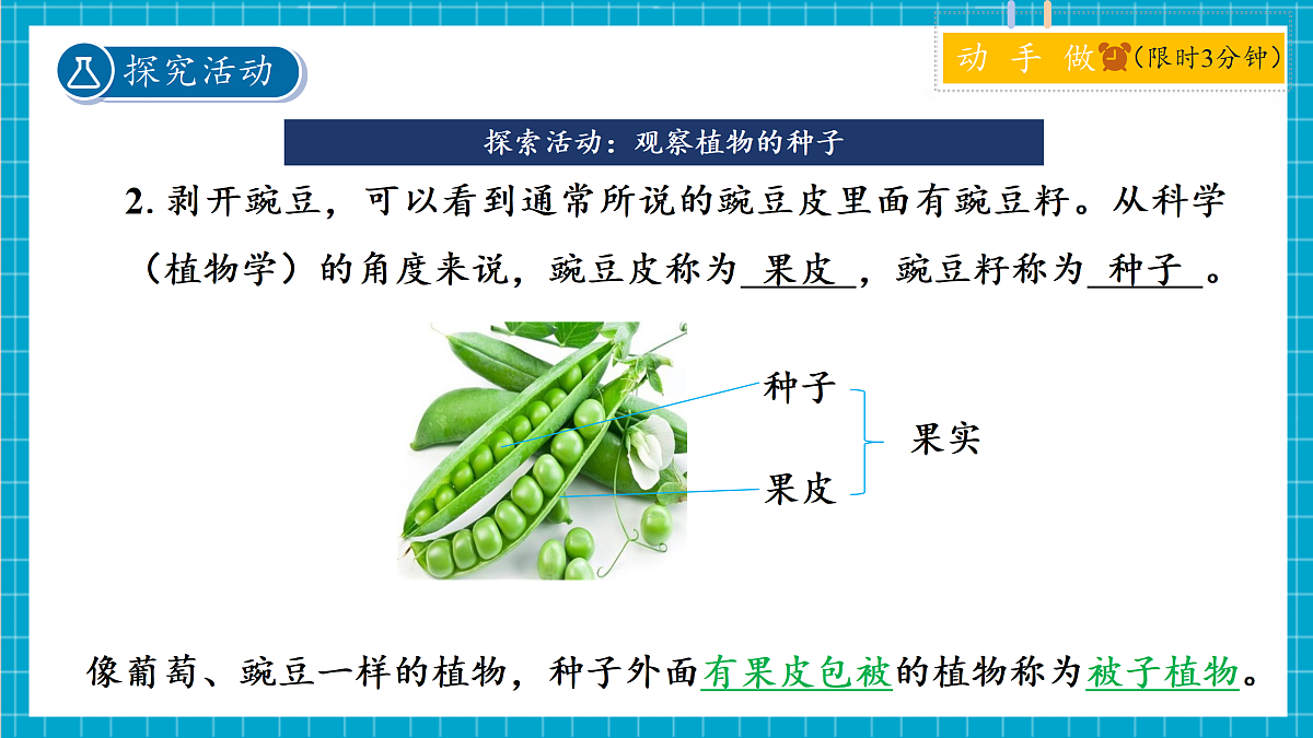 2.2 形形色色的植物 第2课时 课件第6页