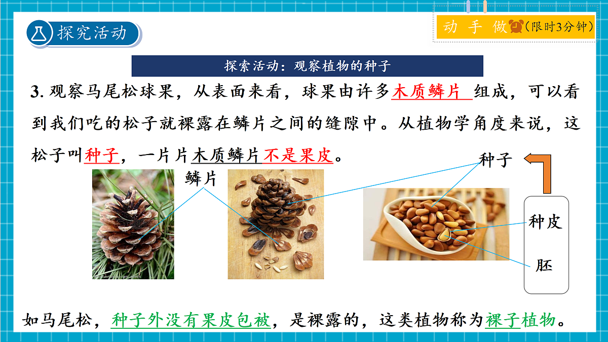 2.2 形形色色的植物 第2课时 课件第8页