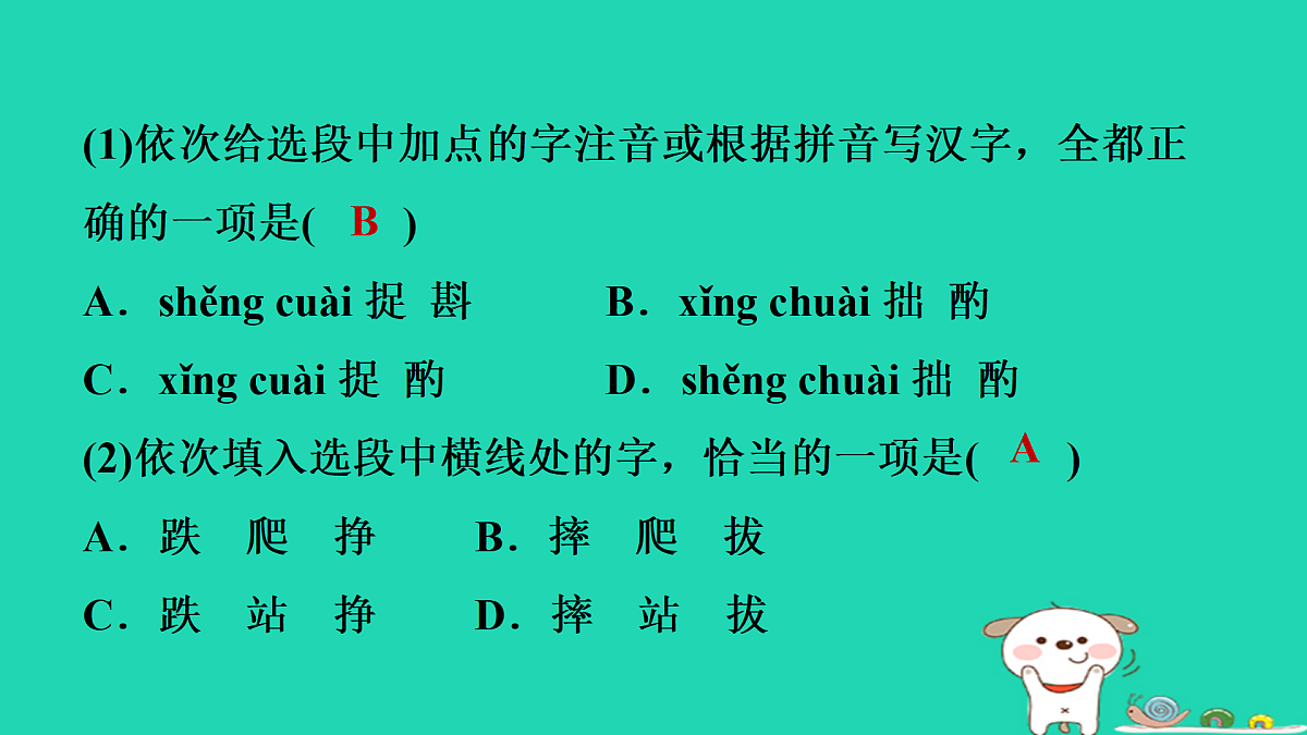 17434055第5页