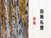 统编版八年级语文上册课件《16白杨礼赞》
