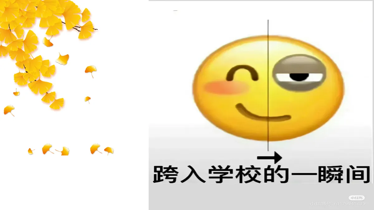 17436895第4页