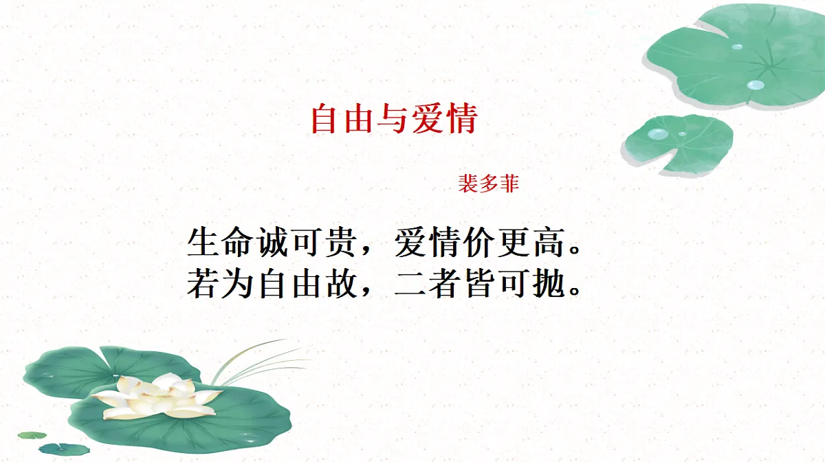 17437215第1页