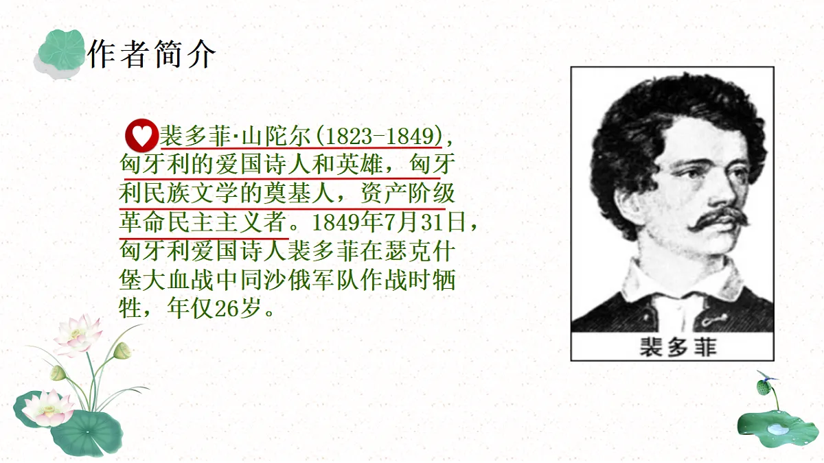 17437215第5页