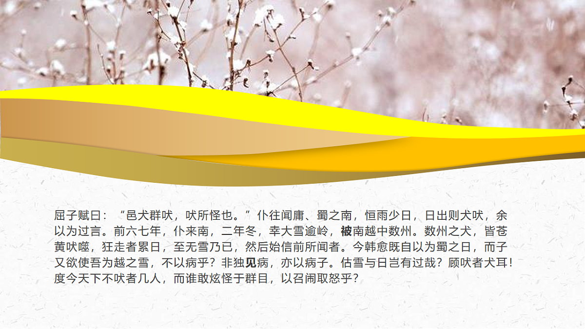 17437217第7页