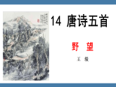 统编版（2024）八年级语文上册课件 第三单元 14 唐诗五首 野望