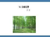 统编版（2024）八年级语文上册课件 第四单元 16 白杨礼赞 第一课时