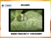 【教学评一体化】苏教版三上科学 3.12《珍惜水资源》课件+教学设计表格式+单元整体设计+视频素材