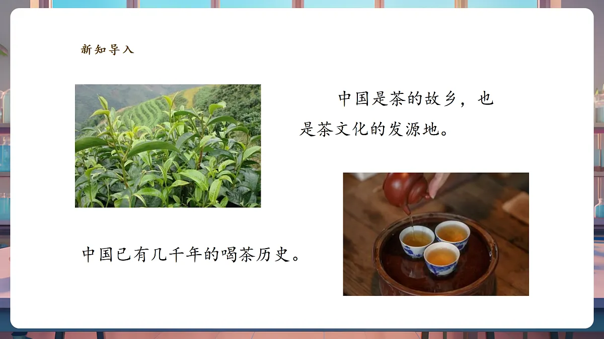 1.3《茶叶能溶解吗》课时课件第3页