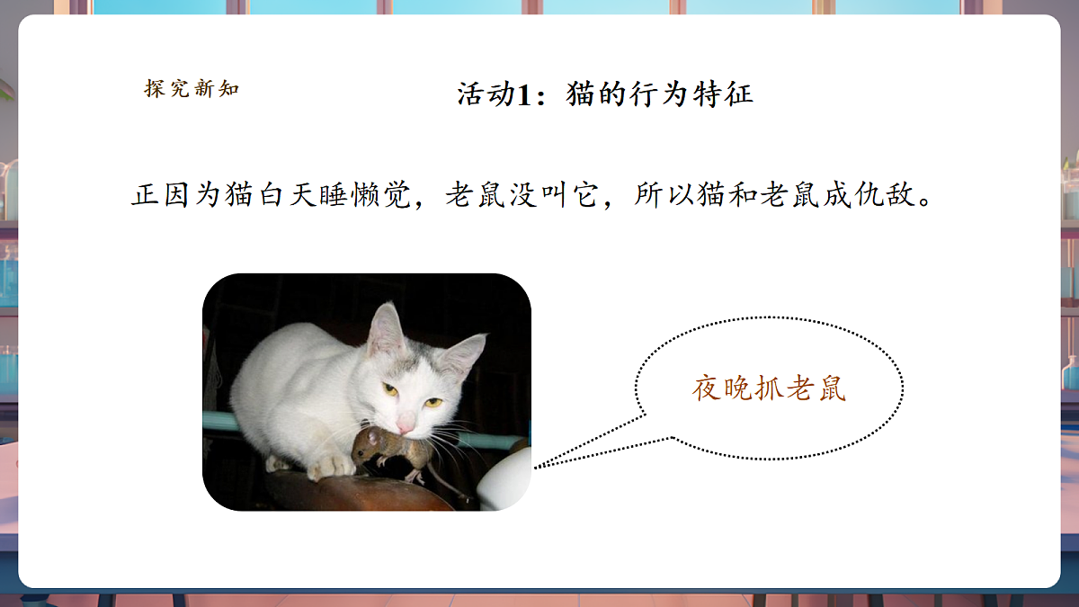 2.1《猫的生活》课时课件第7页
