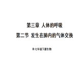 2026年春人教版七年级生物下册 第二节 发生在肺内的气体交换（课件）