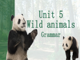 译林版初中英语八年级上册 Unit5 Grammar 课件
