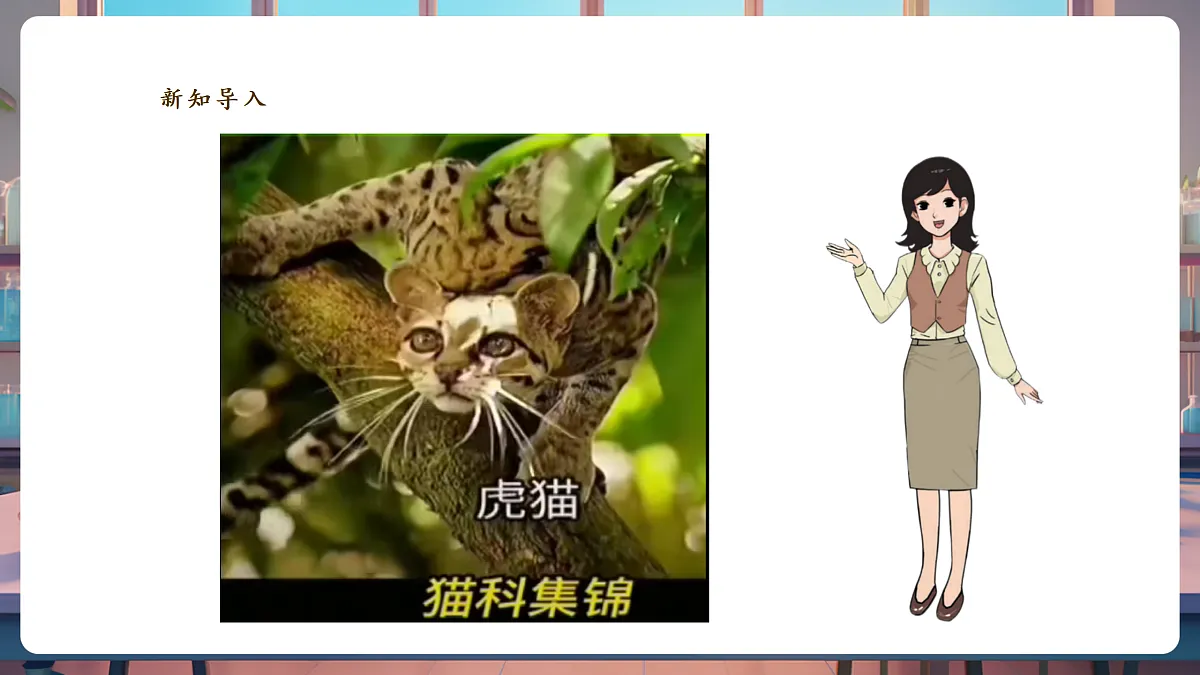 《大熊猫是猫科动物吗》课时课件第3页