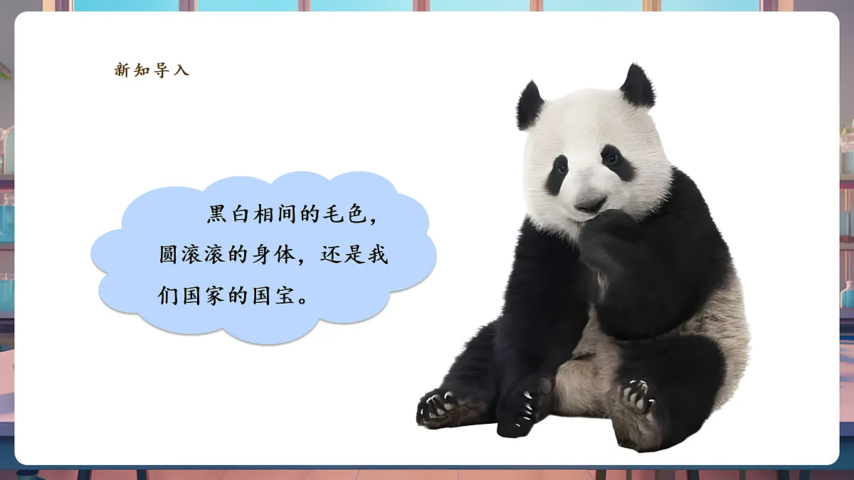 《大熊猫是猫科动物吗》课时课件第4页