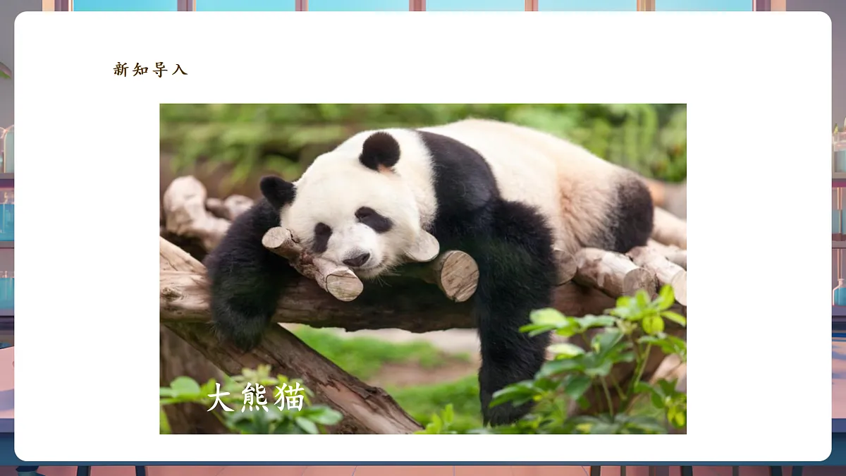 《大熊猫是猫科动物吗》课时课件第5页