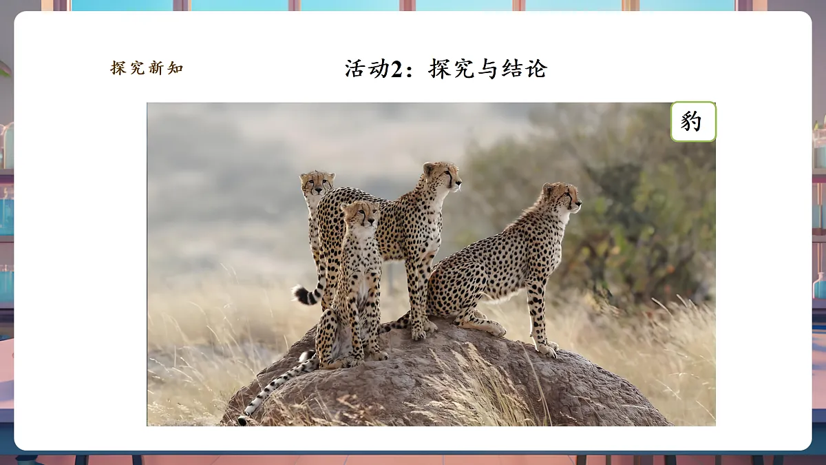 《大熊猫是猫科动物吗》课时课件第8页