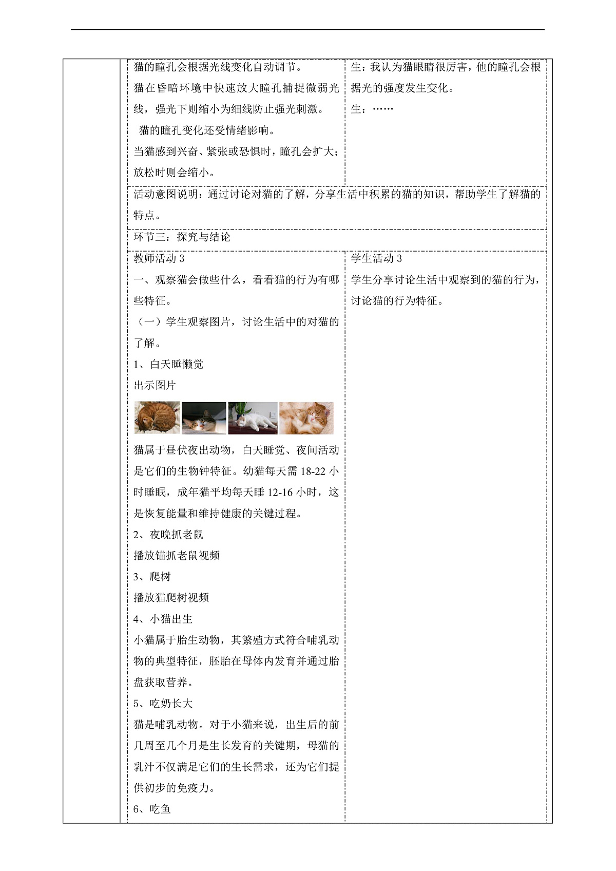 【教学评一体化】 2.1《猫的生活》 课时教案第3页