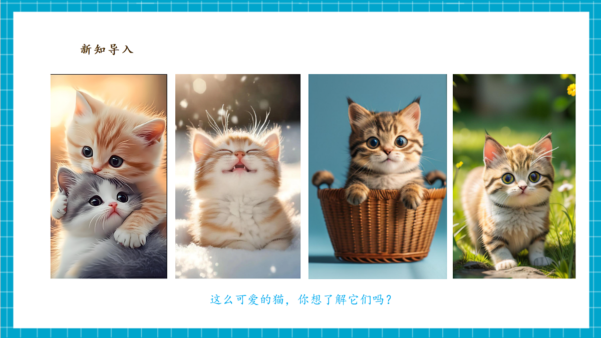 【教学评一体化】 第二单元 第1课 《猫的生活》  课时课件第4页