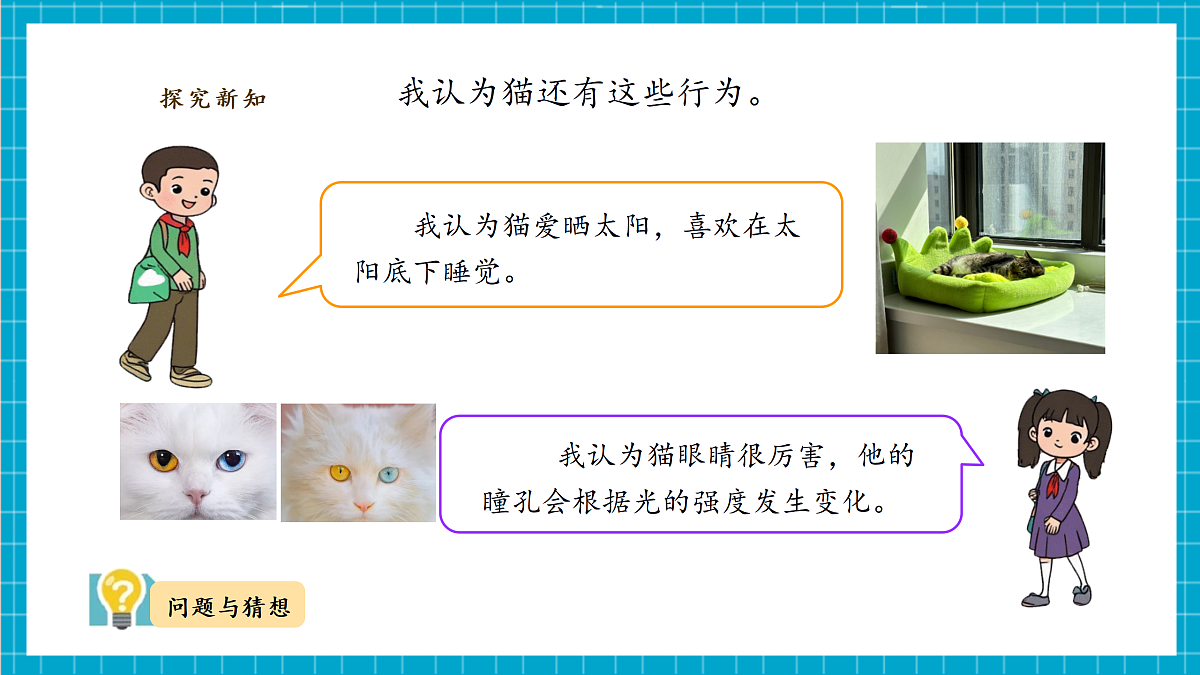 【教学评一体化】 第二单元 第1课 《猫的生活》  课时课件第6页