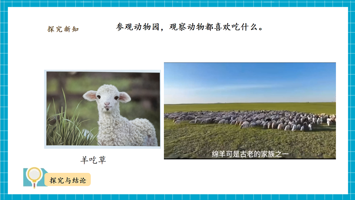 【教学评一体化】2.2《参观动物园》  课时课件第8页