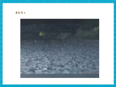 【新教学新课标】大象版科学二上3.1《下雨了》课件+课时教案+单元整体教学设计