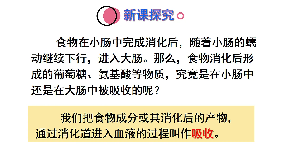 17441878第4页