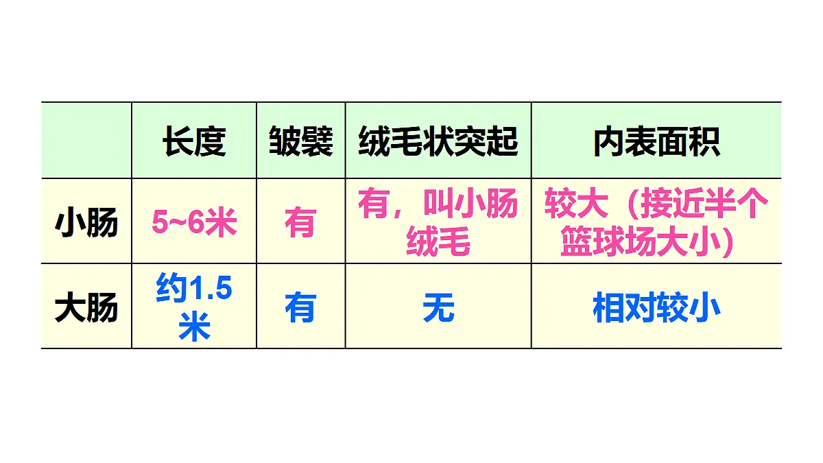 17441878第7页