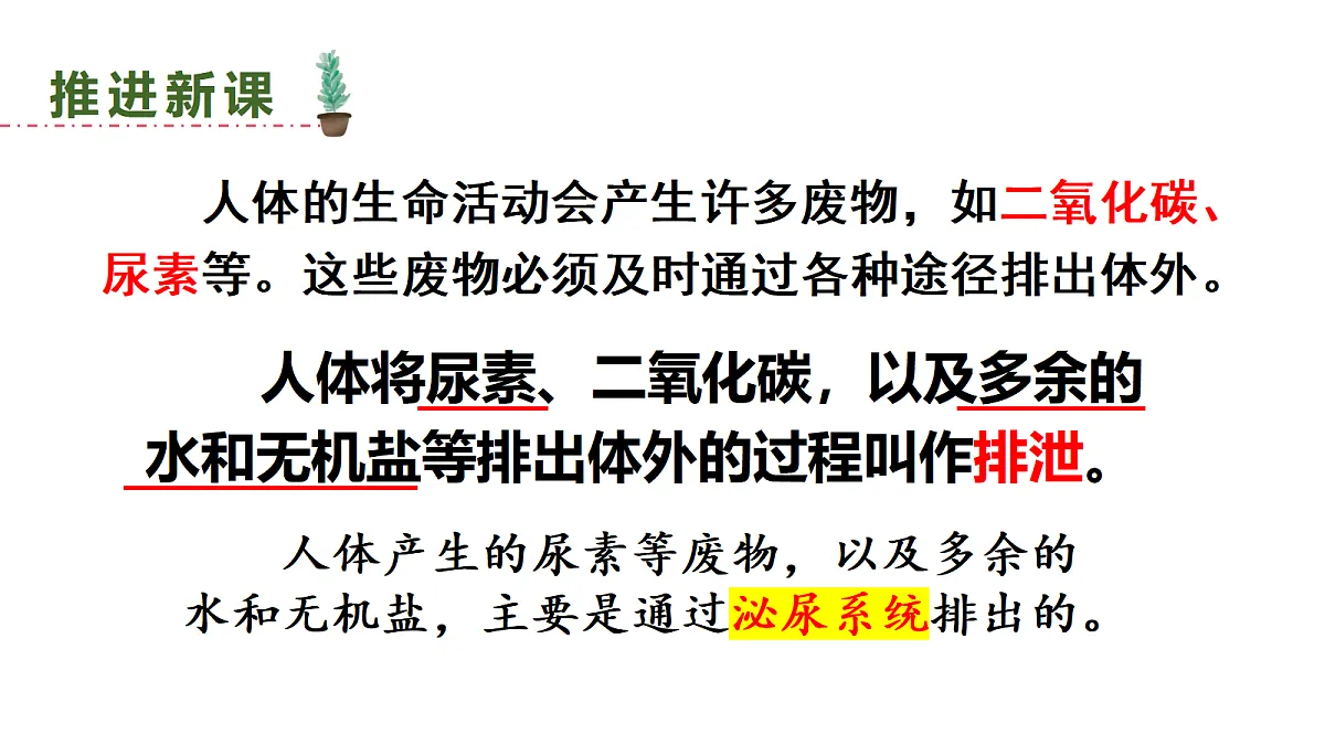 17442109第5页