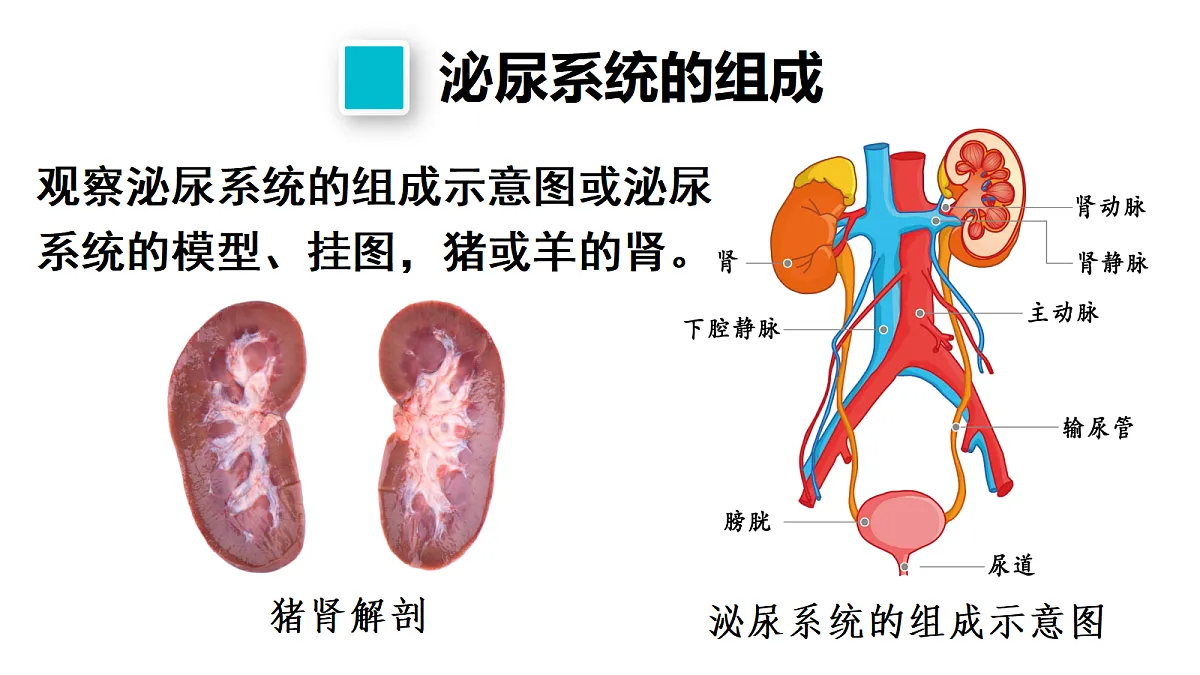 17442109第6页
