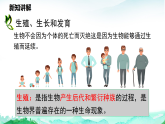 北师大版八年级生物上册第6单元生命的延续第15章生物的生殖和发育第1节人的生殖和发育课件