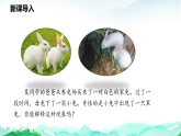 北师大版八年级生物上册第6单元生命的延续第16章生物的遗传和变异第3节性状遗传有一定的规律性课件
