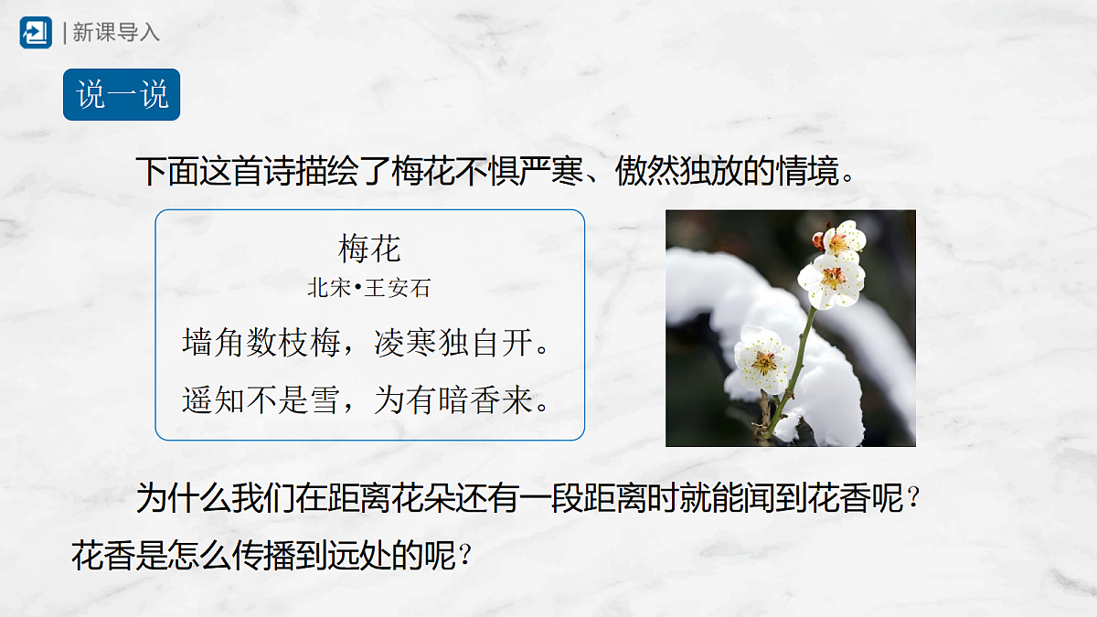 17442966第3页