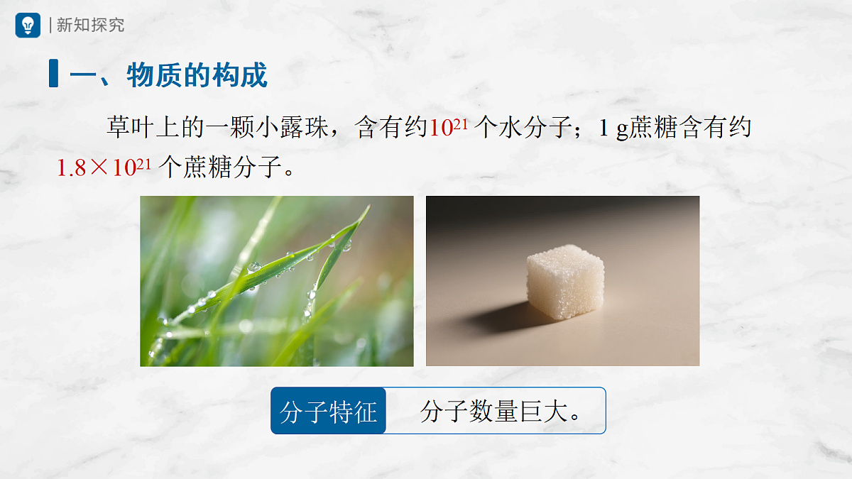 17442966第8页