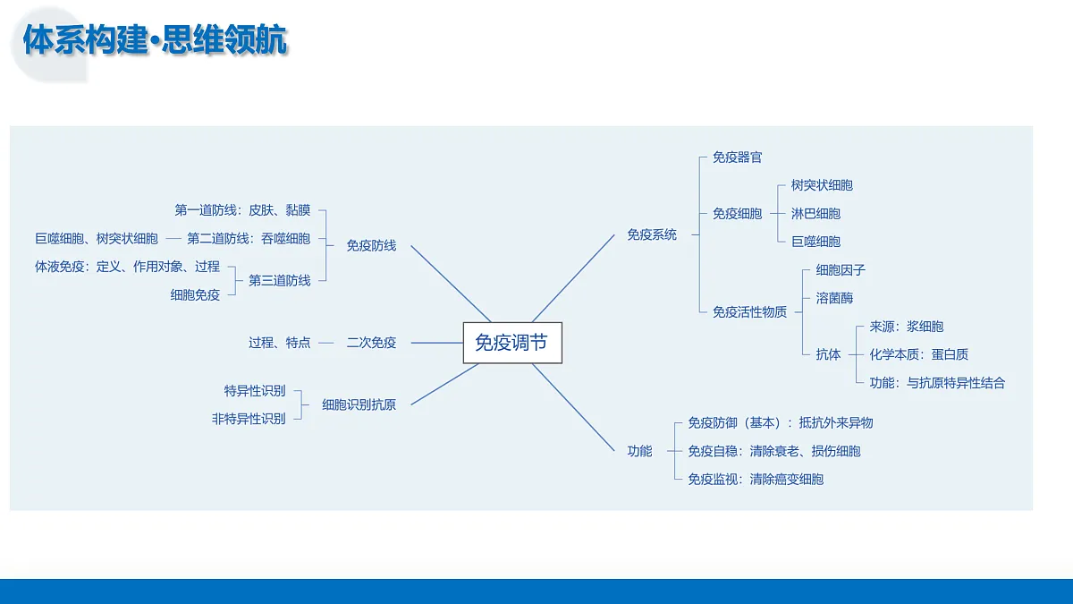 17442976第7页