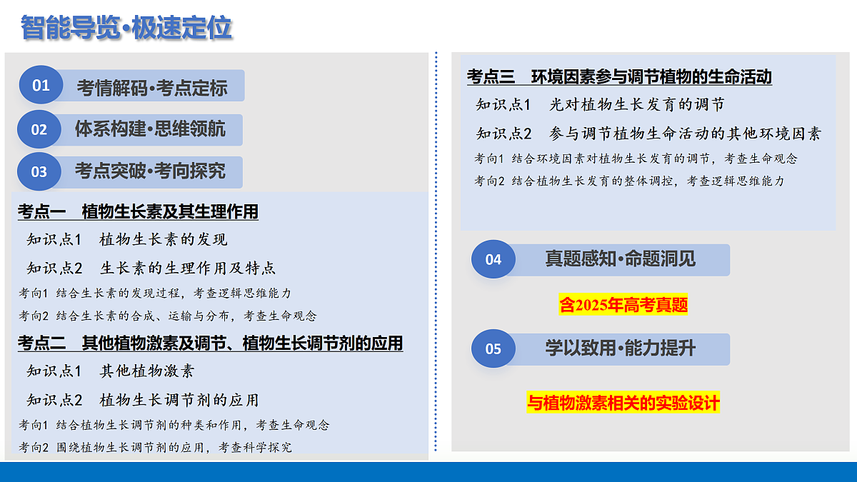 17442979第2页